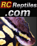 RCReptiles.com's Avatar
