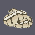 Dandelioness's Avatar