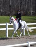 eventer95's Avatar