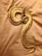 Wargo34's Avatar