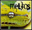 Meltos's Avatar