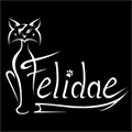 Felidae's Avatar