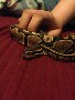 karissa.melanson's Avatar