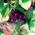 Idealistic's Avatar