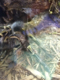FutureExoticsVet's Avatar