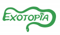 Exotopia's Avatar