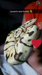Elle_Ohh_Elle's Avatar