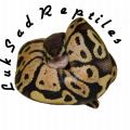 LukSadReptiles's Avatar