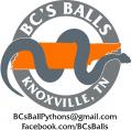 BC's Balls's Avatar