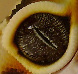 BigS06's Avatar