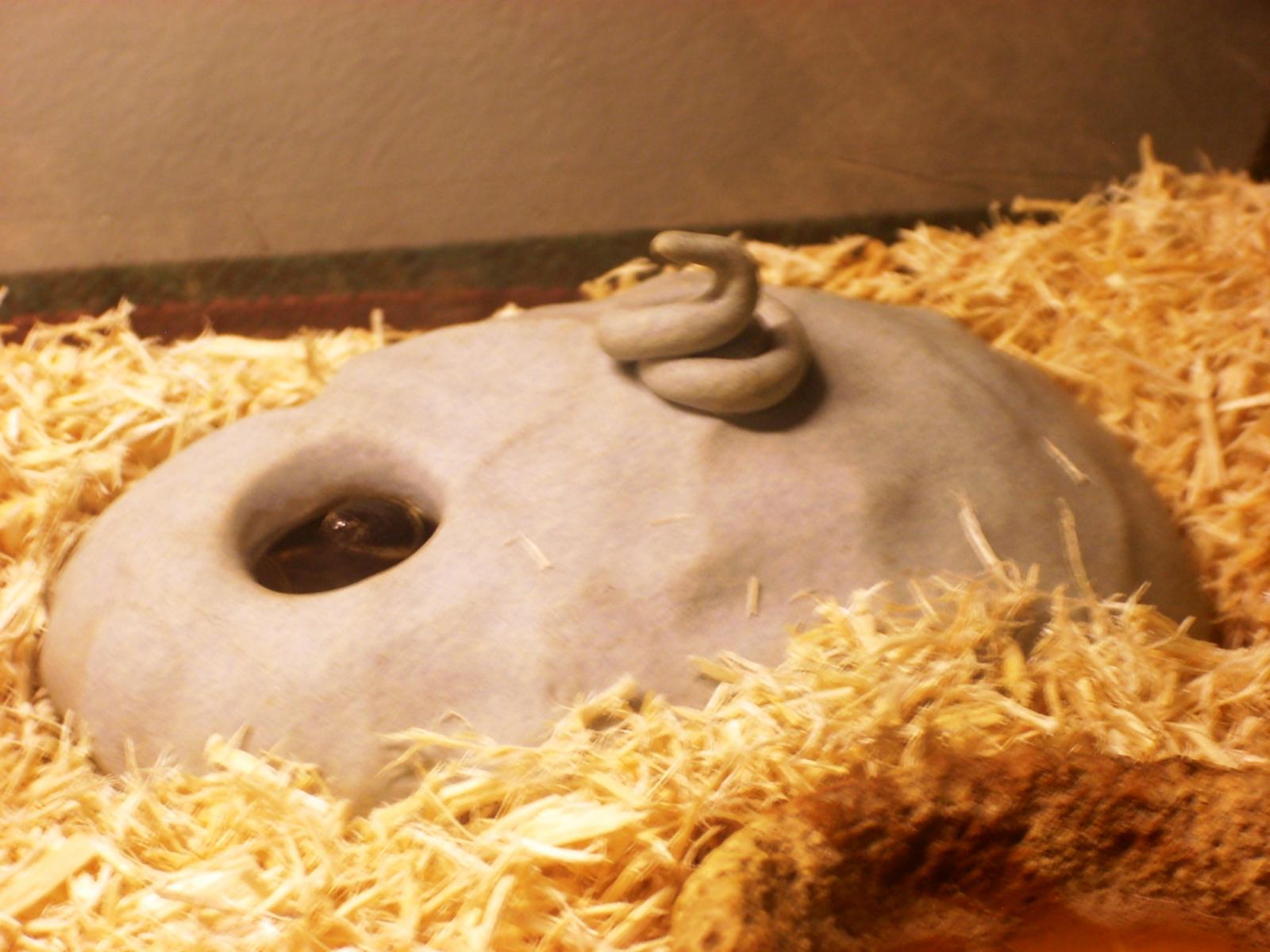 Nellie's Fimo Cave
