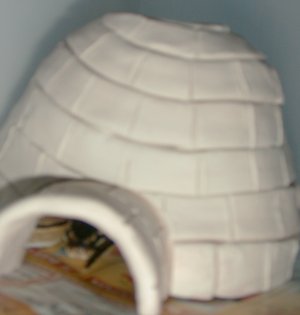 igloo