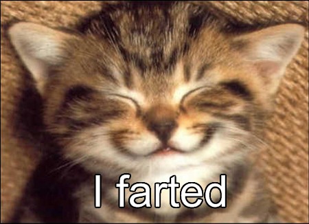 Fart Kitty