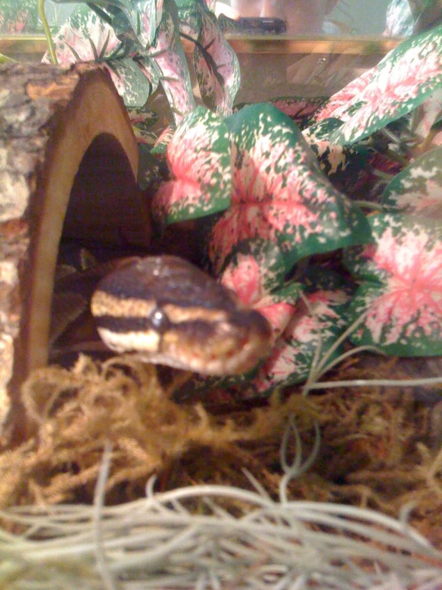 Checkin It Out