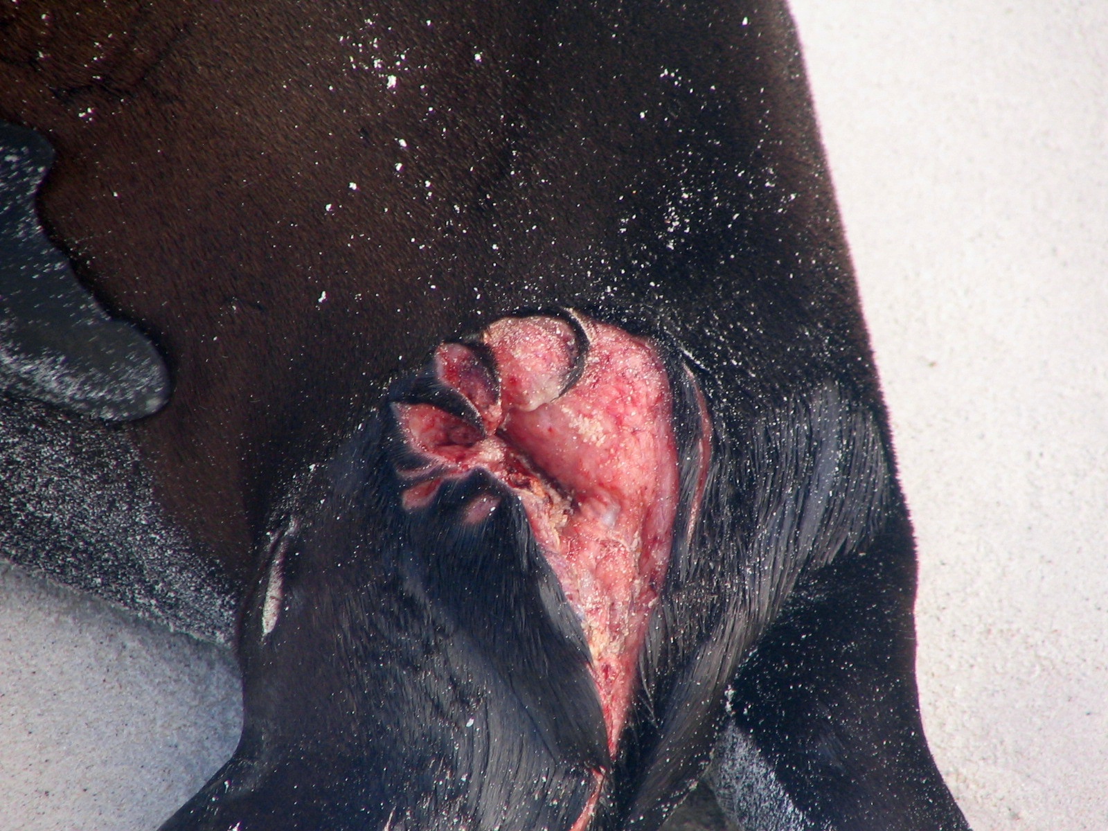 img 7578 2