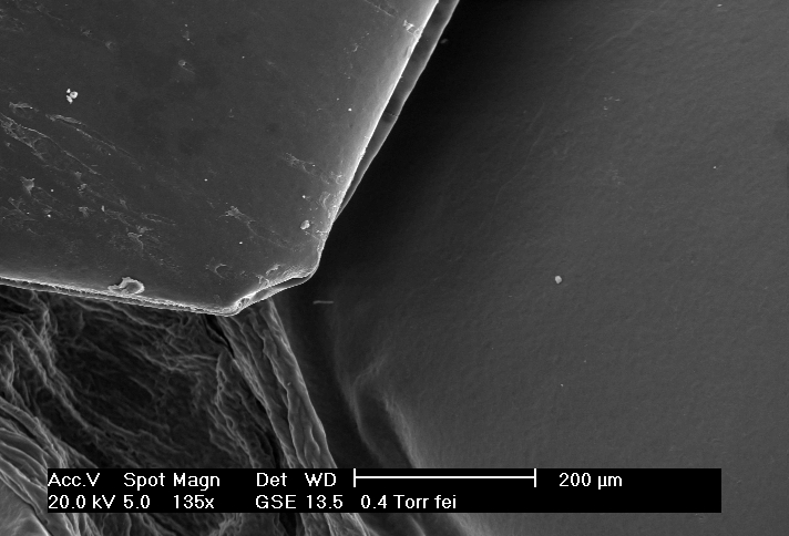 Bp Scales Under Electron Microscope