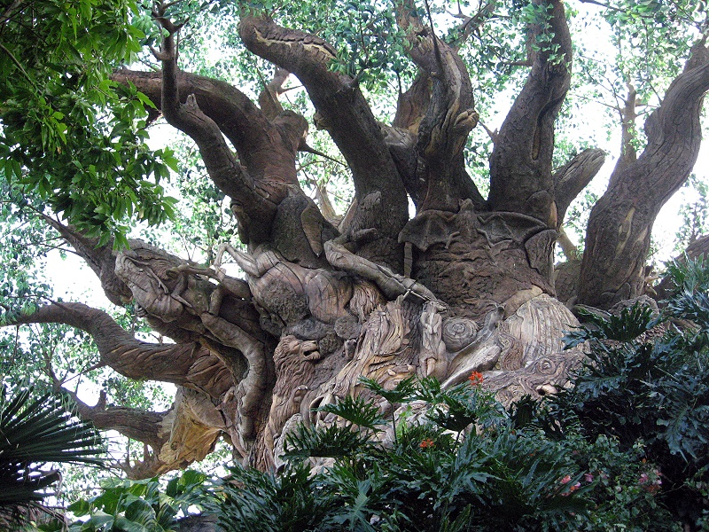 Tree Of Life