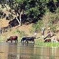 z10-02-pongola river