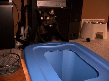 Jack In A Box 