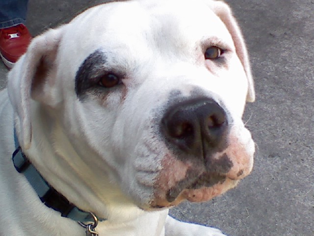 Jack