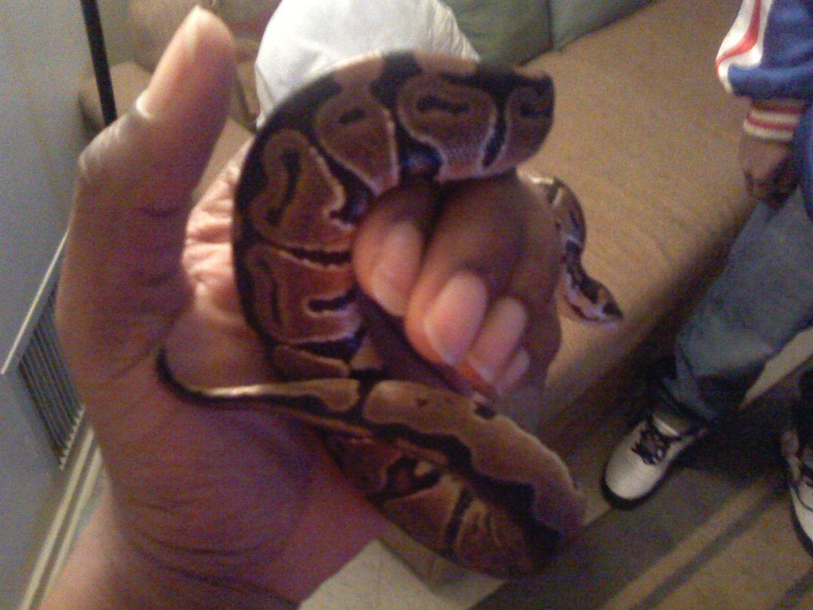 Pics Of My Bp
