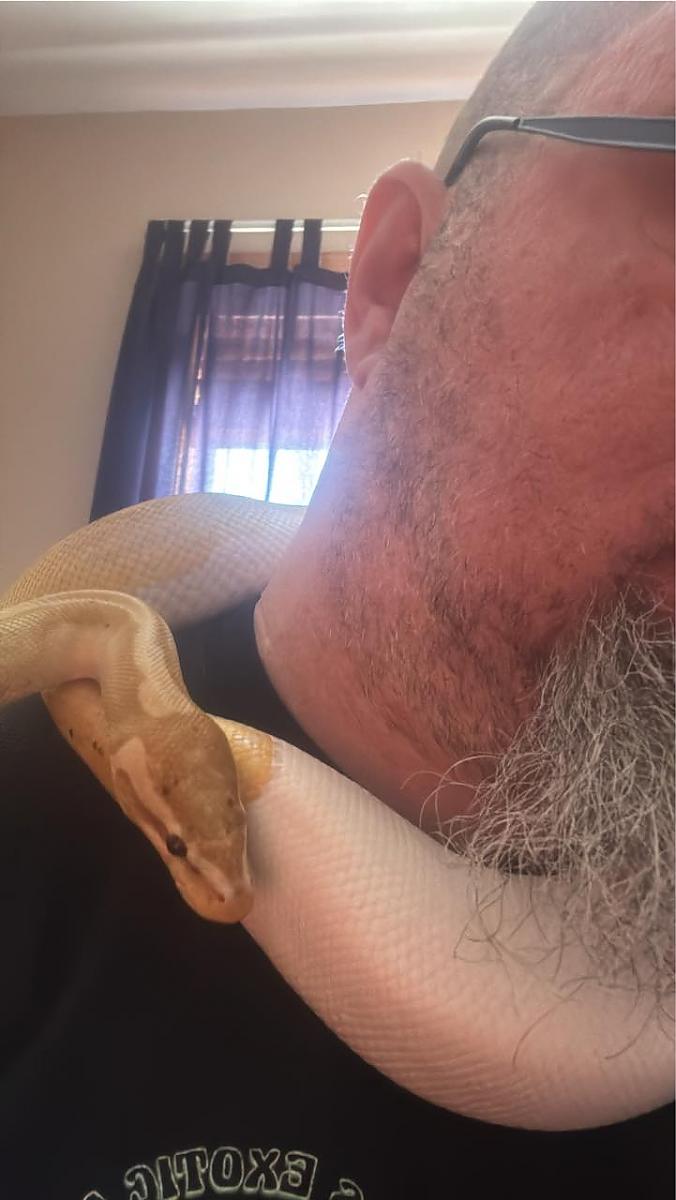 banana piec