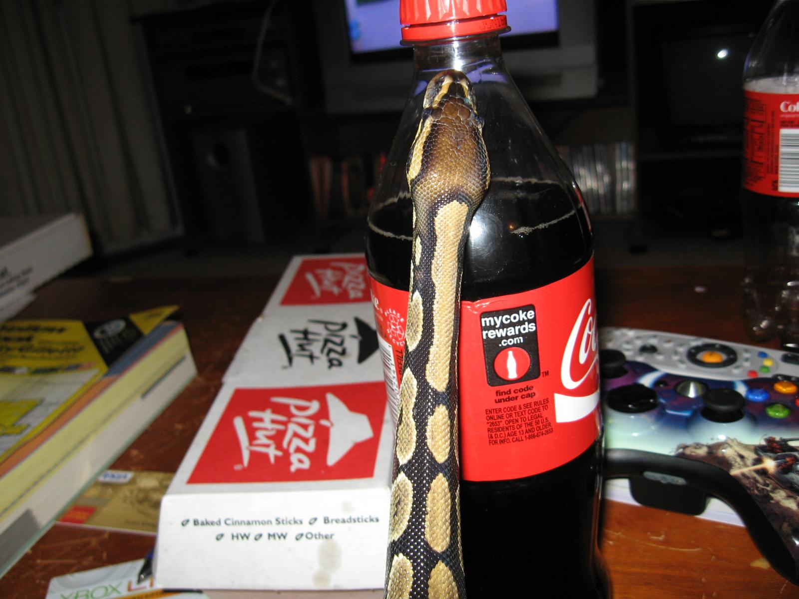 Cheif And A Coke