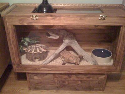 Darla's Pad