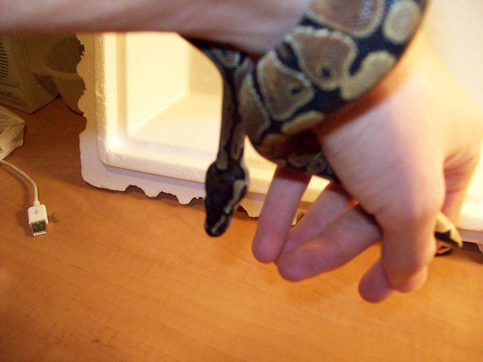 Kalhua Pantalones Fresh Shed