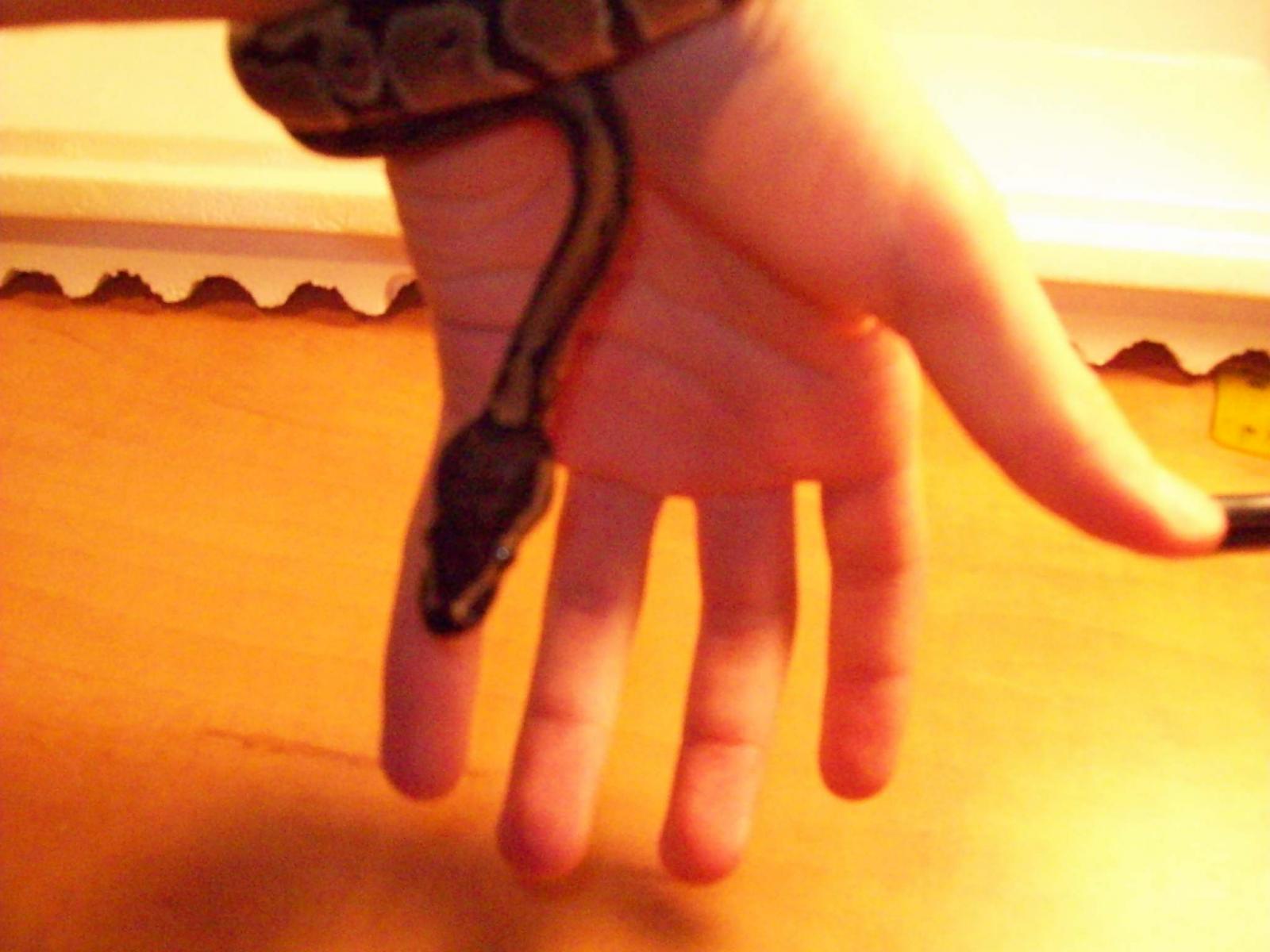 Kalhua Pantalones Fresh Shed