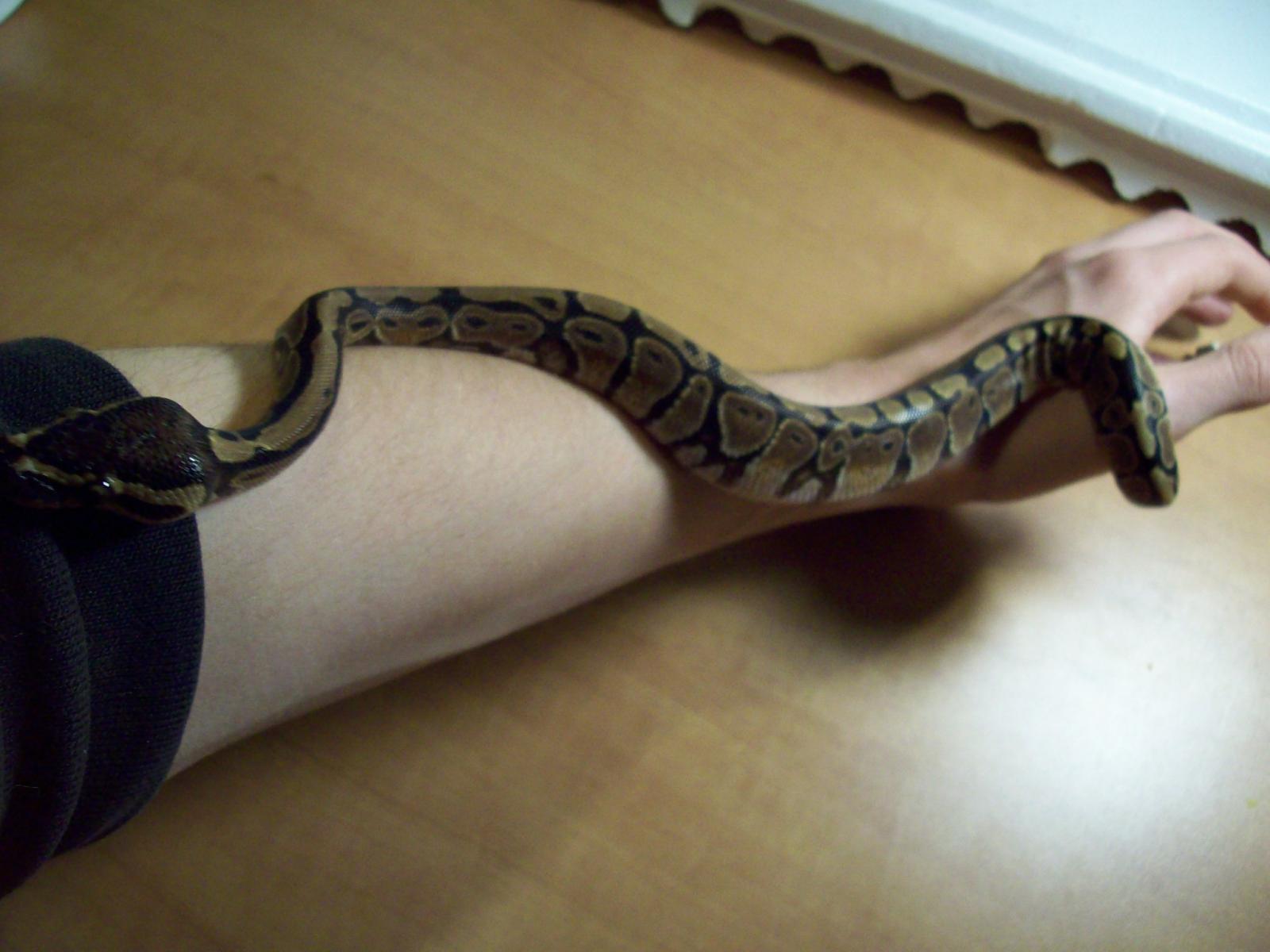 Kalhua Pantalones Fresh Shed