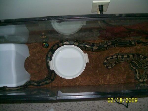 Cassie And Casper