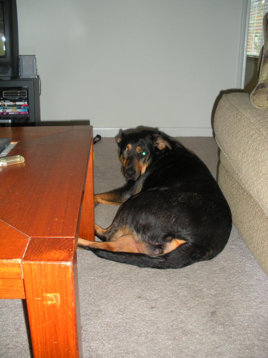 Queen Of The House Sasha