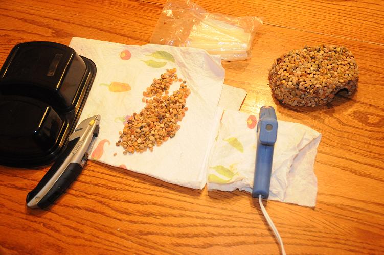 Diy Hide