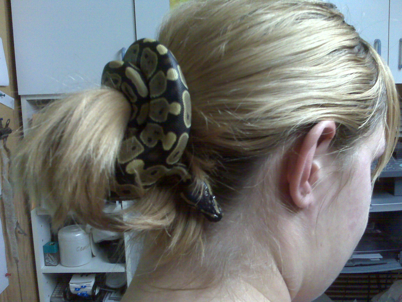 Hairsnake