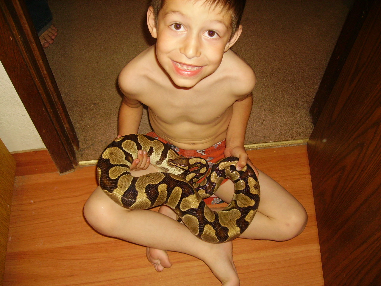 2900 Gram Female