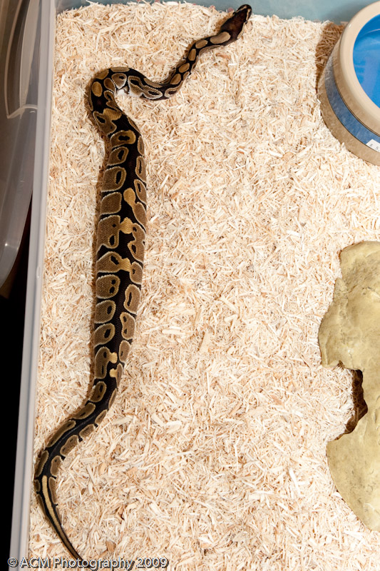 Uno's First Pics