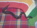 My Ball Python =d