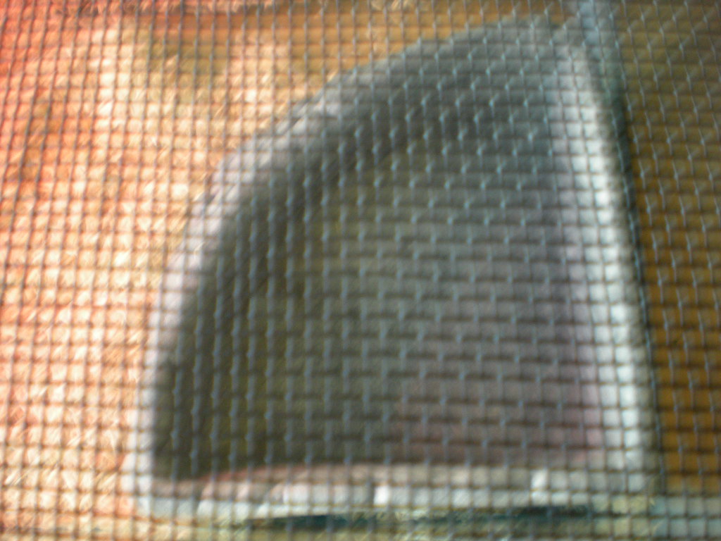 Cage Setup And Angry Snake