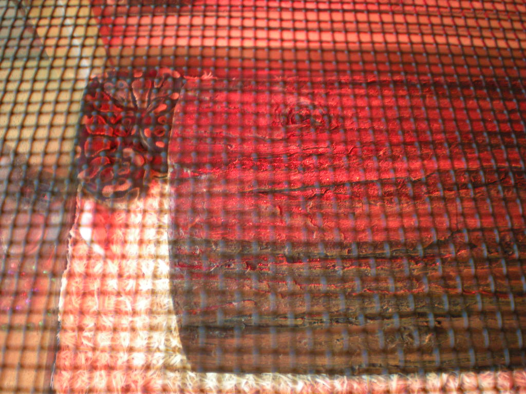 Cage Setup And Angry Snake