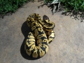Dscn0562