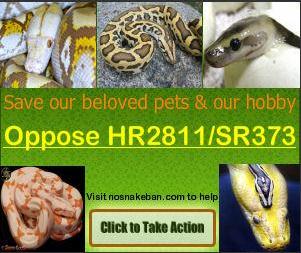 Nosnakeban.com