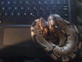 Pretzel And The Laptop
