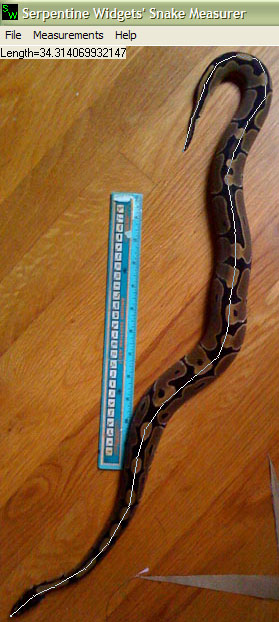 Snake Measure Program