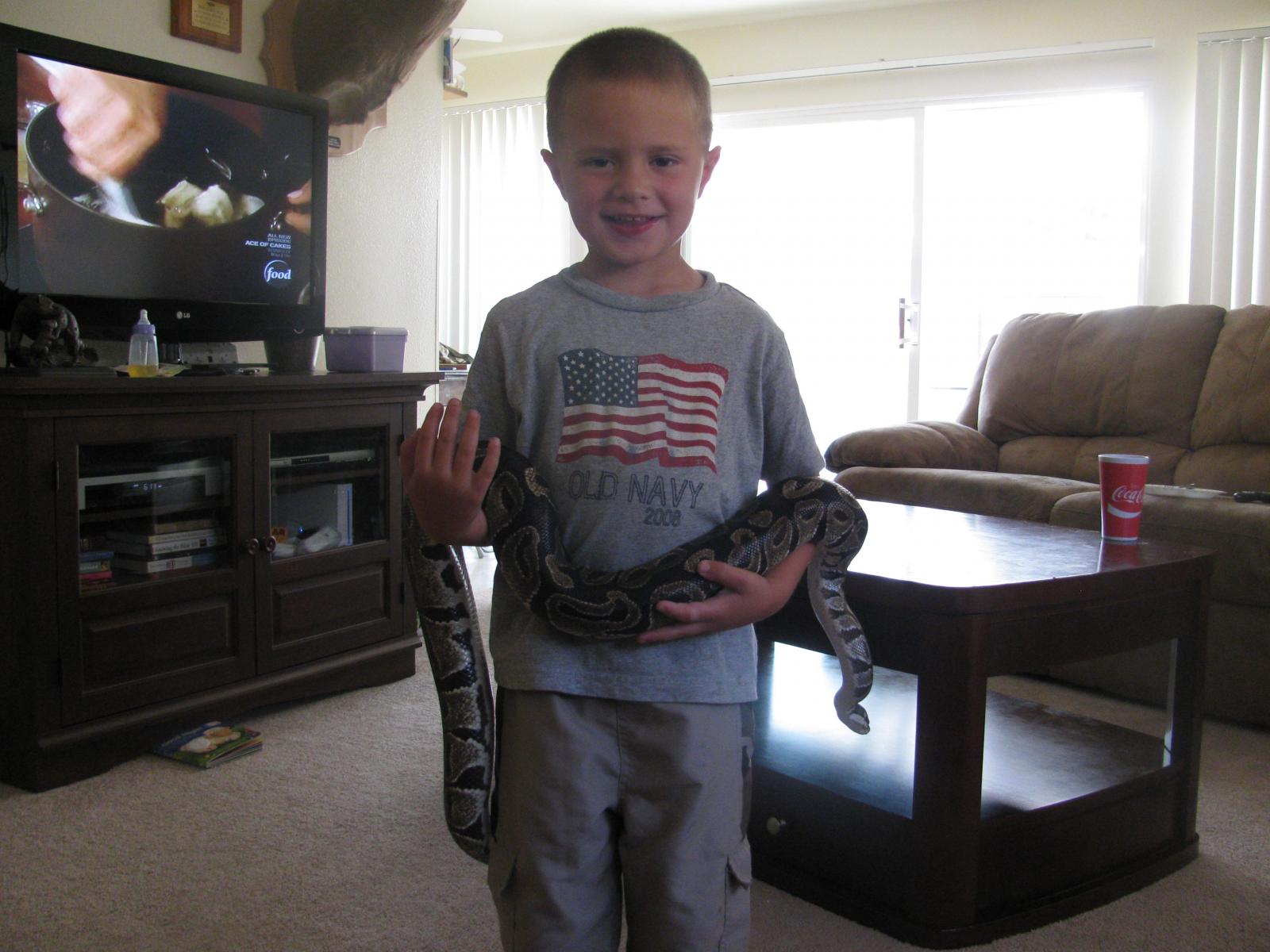 My New 1.0 Ball Python