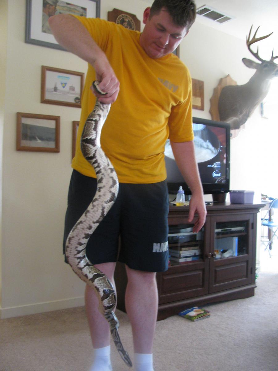 My New 1.0 Ball Python