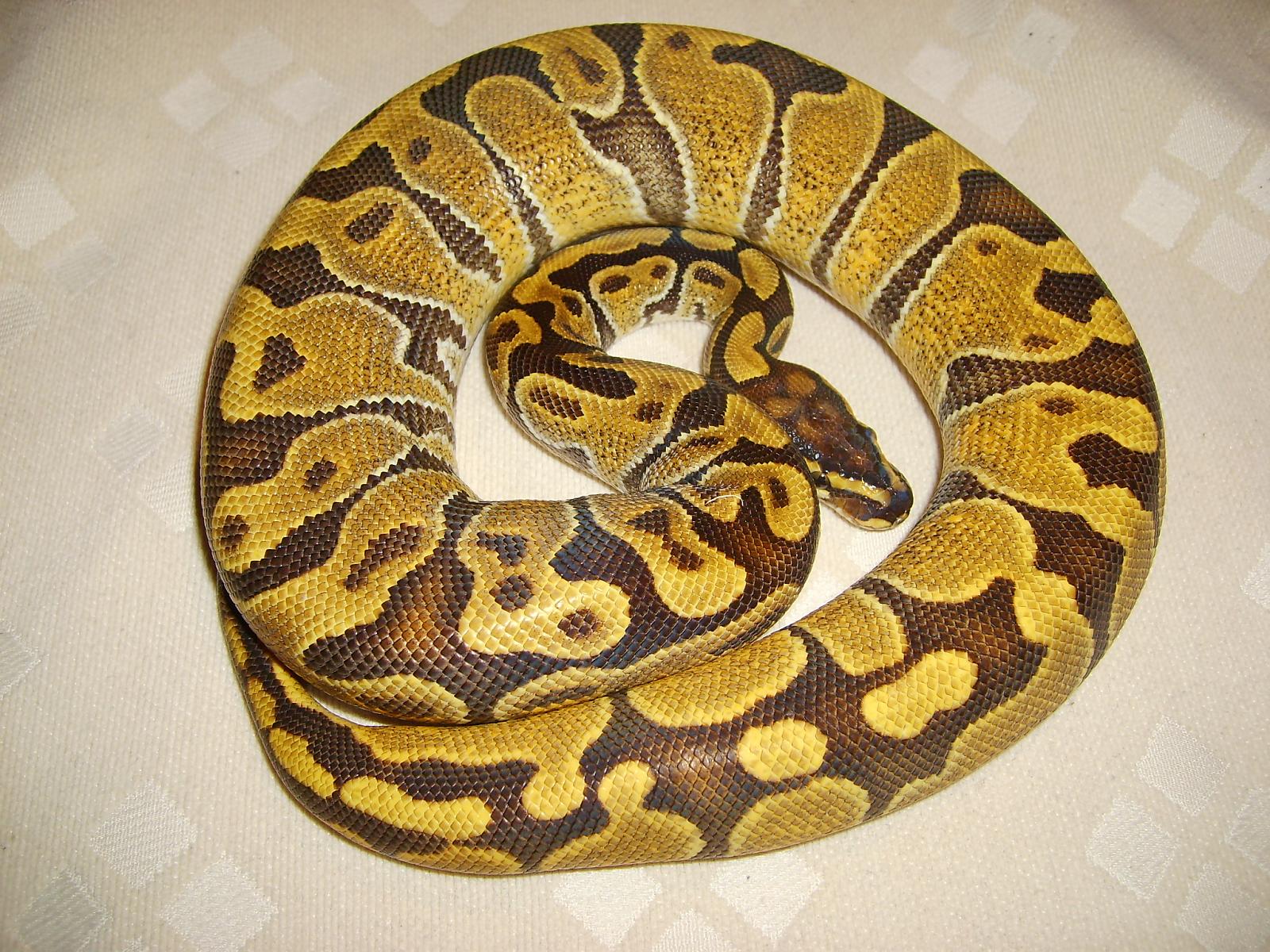 158