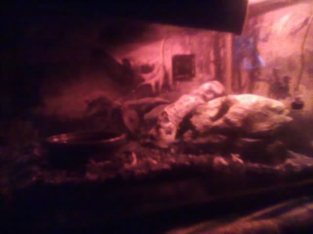 My Bp Kinky