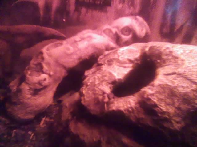 My Bp Kinky