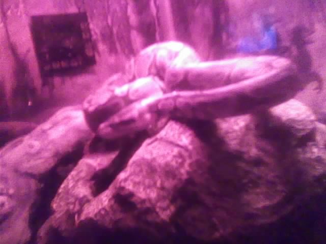 My Bp Kinky